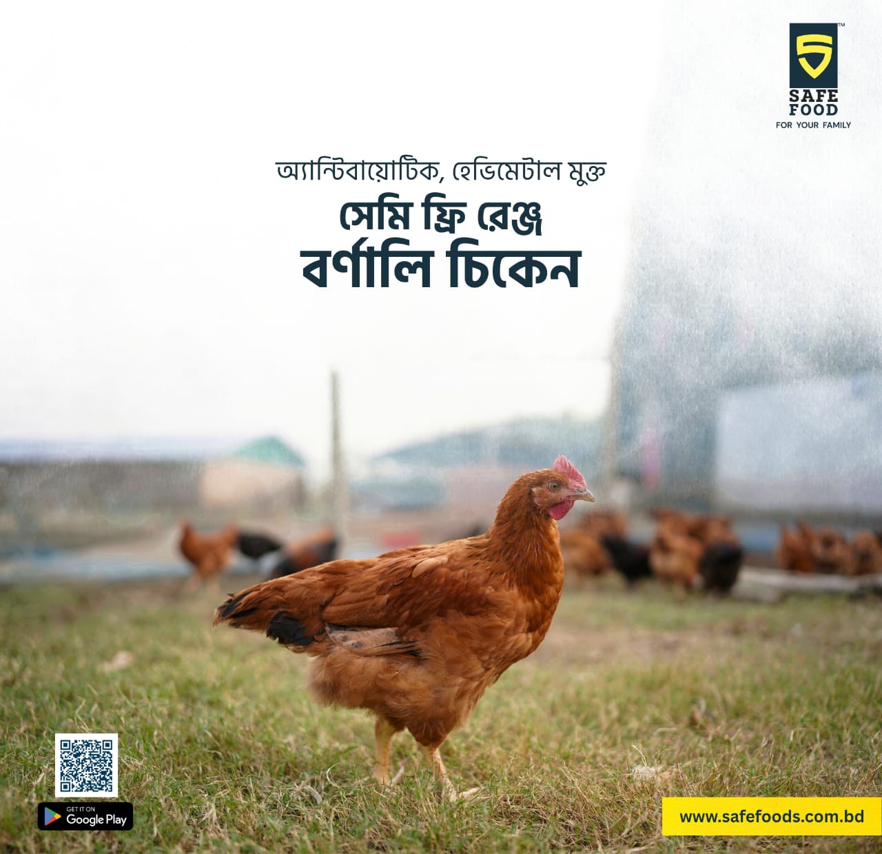 Semi Free Range Bornali Chicken (700-800gm)-dressed-weight- 750 tk Per Pcs